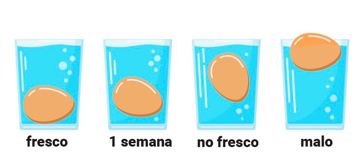 Como saber si son huevos frescos