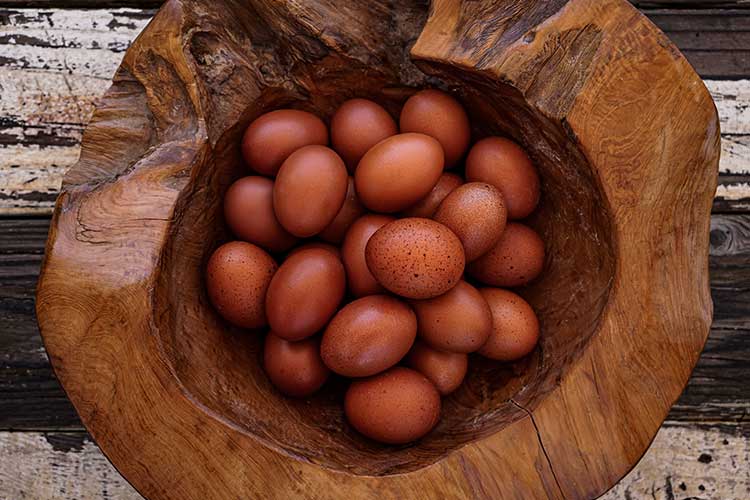 Huevos de color marron oscuro